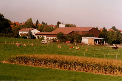 Talhof 1986